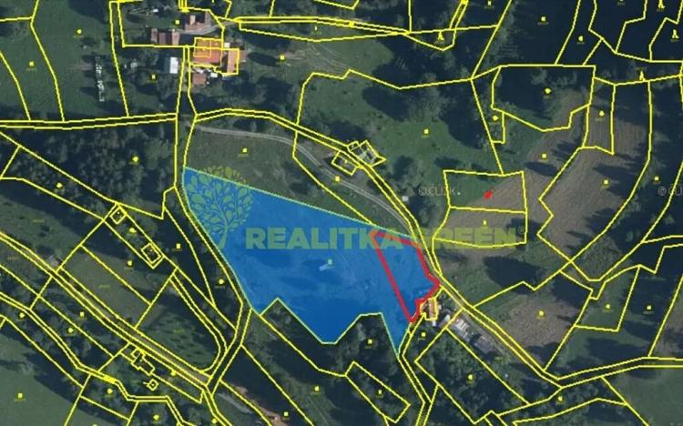 Prodej louky, Nový Hrozenkov, 694 m2