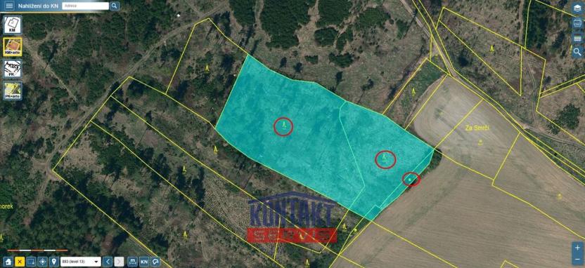 Prodej lesa, Volfířov - Řečice, 12476 m2