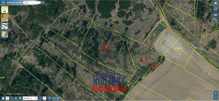 Prodej lesa, Volfířov - Řečice, 12476 m2