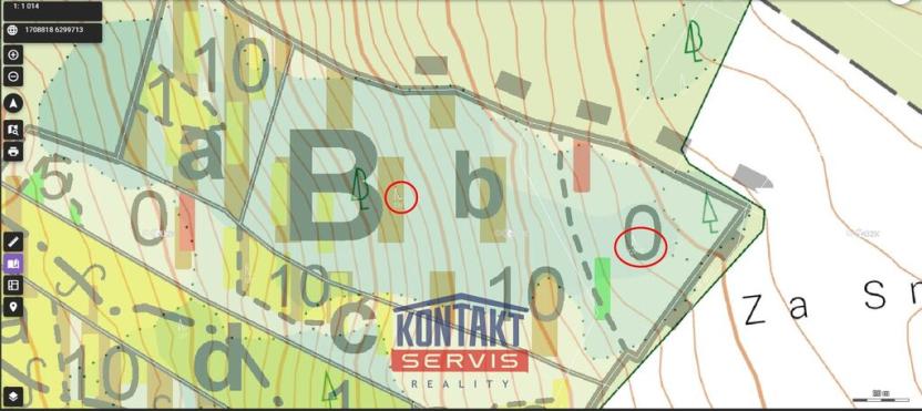 Prodej lesa, Volfířov - Řečice, 12476 m2