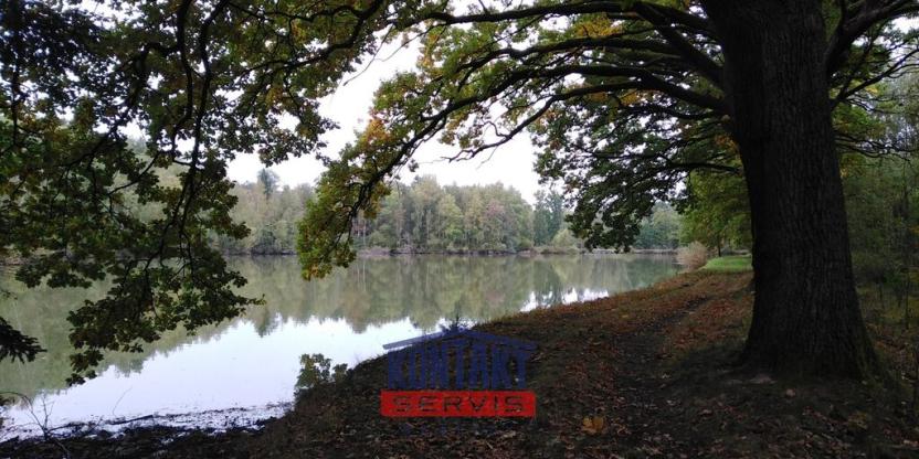 Prodej lesa, Suchdol nad Lužnicí, 4550 m2