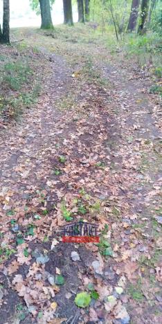 Prodej lesa, Suchdol nad Lužnicí, 4550 m2