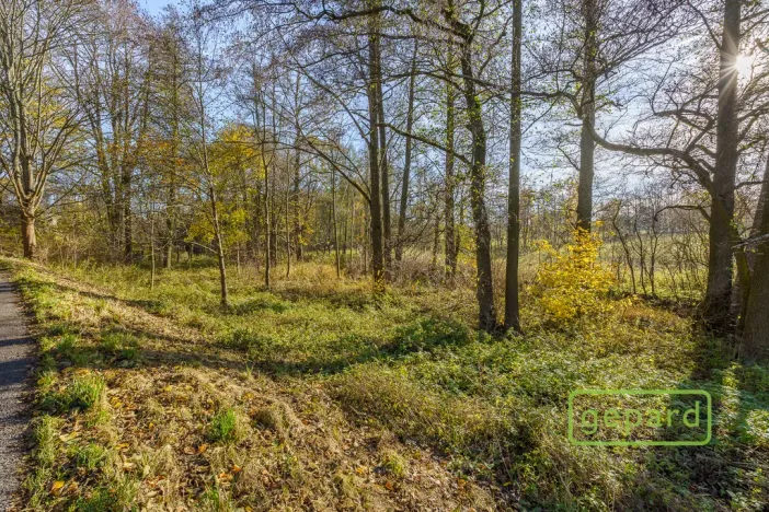 Prodej rybníku, Bochov - Dlouhá Lomnice, 5195 m2