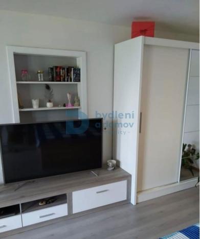 Pronájem bytu 1+kk, Loučany, 45 m2