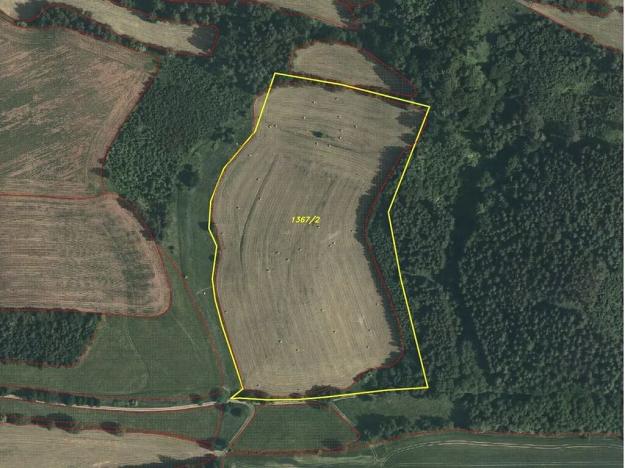 Dražba louky, Dolní Dobrouč, 71151 m2