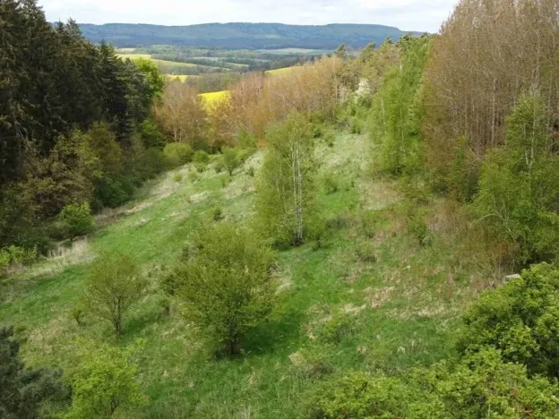 Dražba louky, Křenov, 16180 m2