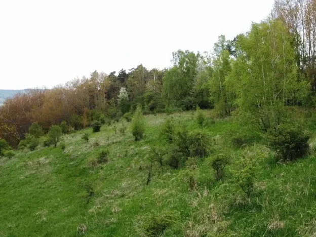 Dražba louky, Křenov, 16180 m2