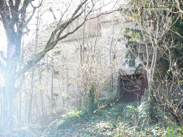 Prodej historického objektu, Tchořovice, 4000 m2