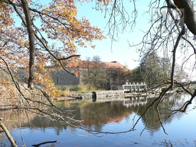 Prodej historického objektu, Tchořovice, 4000 m2