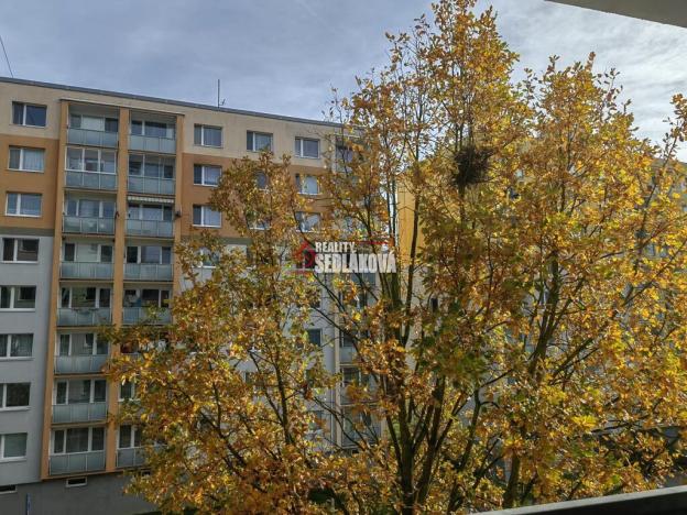 Pronájem bytu 3+1, Děčín - Děčín XXVII-Březiny, Kosmonautů, 82 m2