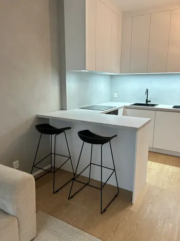 Pronájem bytu 2+kk, Brno, Ghegova, 60 m2