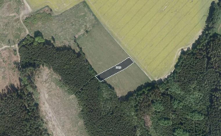 Prodej louky, Sázavka, 8453 m2