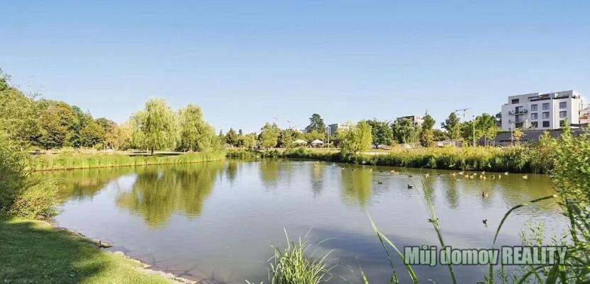 Pronájem bytu 1+kk, Praha - Hloubětín, Waltariho, 32 m2