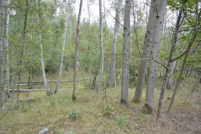 Prodej zahrady, Liberec, 1233 m2