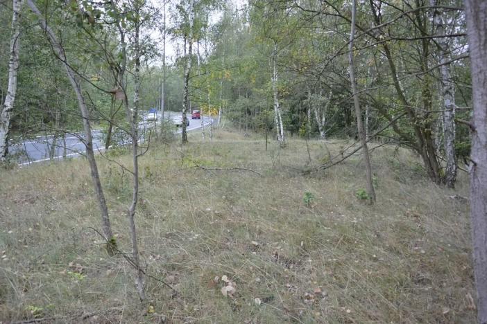 Prodej zahrady, Liberec, 1233 m2