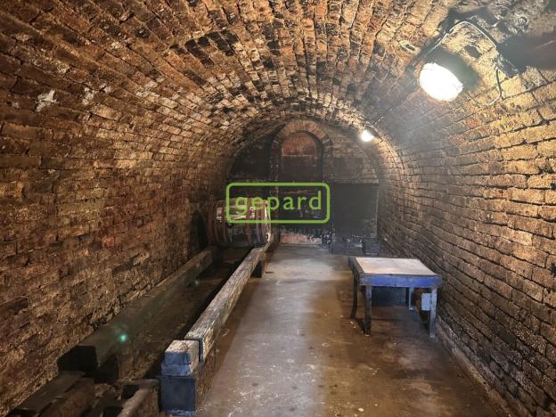 Prodej vinného sklepa, Prušánky, 88 m2