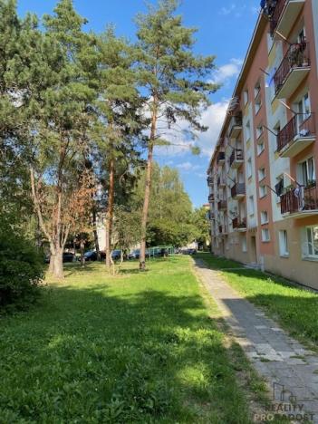 Pronájem bytu 2+1, Olomouc, tř. Svornosti, 54 m2