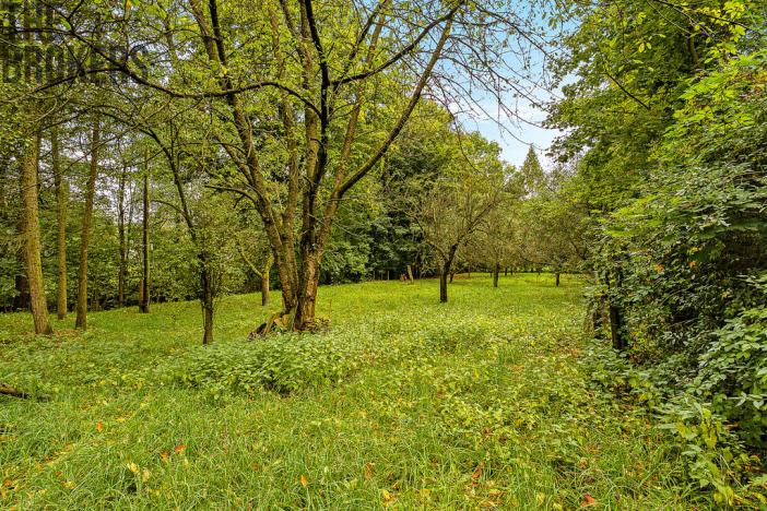 Prodej rodinného domu, Žamberk, U Líšnice, 170 m2