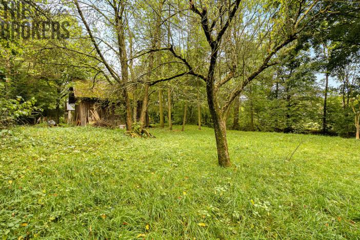 Prodej rodinného domu, Žamberk, U Líšnice, 170 m2