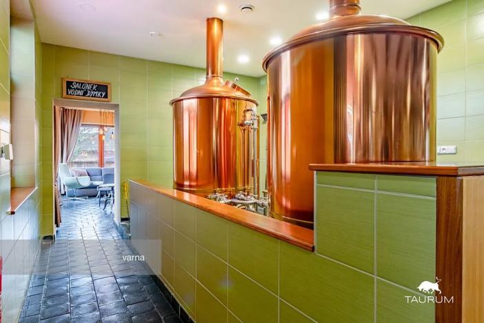 Prodej restaurace, Rokycany, Sokolská, 413 m2