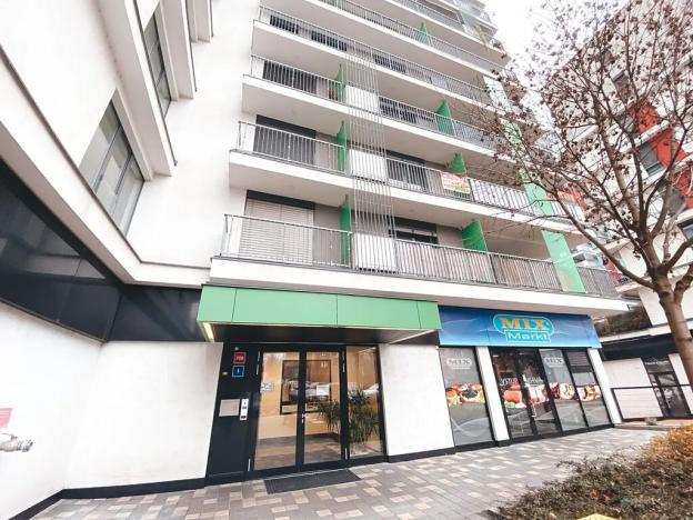 Pronájem bytu 1+kk, Praha - Malešice, Nad úžlabinou, 37 m2