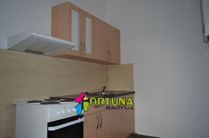 Pronájem bytu 1+1, České Budějovice - České Budějovice 6, Mánesova, 42 m2