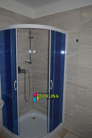 Pronájem bytu 1+1, České Budějovice - České Budějovice 6, Mánesova, 42 m2