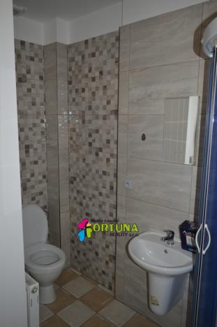 Pronájem bytu 1+1, České Budějovice - České Budějovice 6, Mánesova, 42 m2