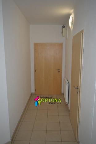 Pronájem bytu 1+1, České Budějovice - České Budějovice 6, Mánesova, 42 m2