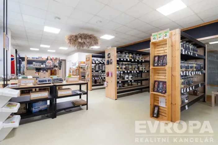 Prodej komerční nemovitosti, Havlíčkův Brod, V Rámech, 1081 m2