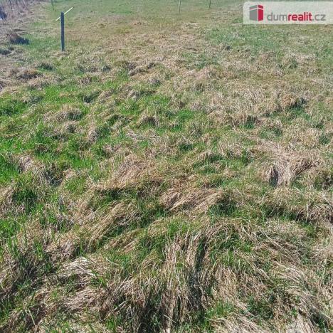 Prodej pozemku pro bydlení, Heřmanov - Fojtovice, 1263 m2