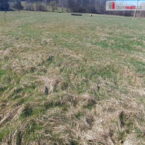 Prodej pozemku pro bydlení, Heřmanov - Fojtovice, 1263 m2