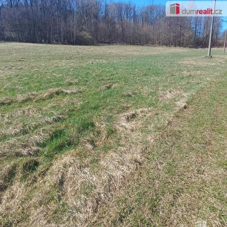 Prodej pozemku pro bydlení, Heřmanov - Fojtovice, 4050 m2