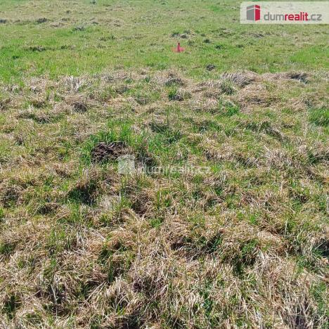 Prodej pozemku pro bydlení, Heřmanov - Fojtovice, 1246 m2