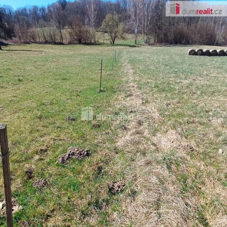 Prodej pozemku pro bydlení, Heřmanov - Fojtovice, 1246 m2