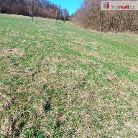 Prodej pozemku pro bydlení, Heřmanov - Fojtovice, 1246 m2