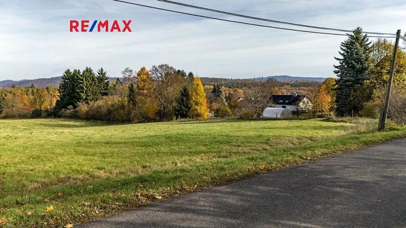 Prodej pozemku pro bydlení, Velká Bukovina, 1237 m2