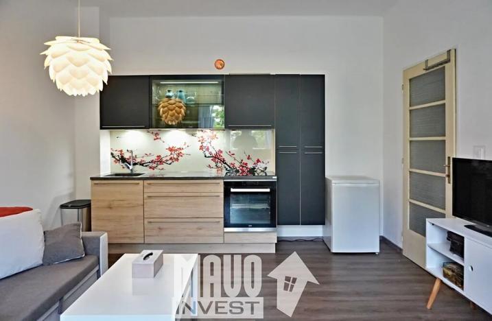 Pronájem bytu 1+kk, Praha - Nusle, Doudlebská, 28 m2