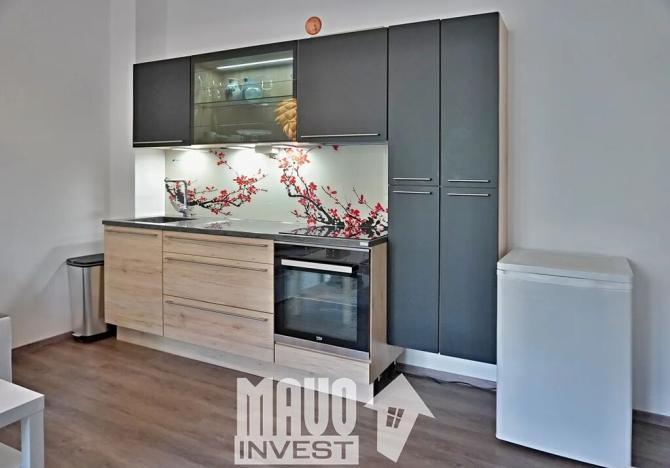 Pronájem bytu 1+kk, Praha - Nusle, Doudlebská, 28 m2