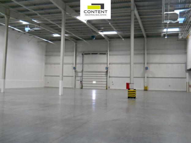 Pronájem výrobních prostor, Rudná, K Vypichu, 4733 m2