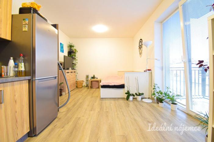 Pronájem bytu 1+kk, Brno, Svitavská, 33 m2