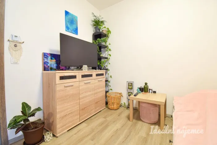 Pronájem bytu 1+kk, Brno, Svitavská, 33 m2