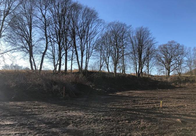 Prodej komerčního pozemku, Děpoltovice, 2280 m2