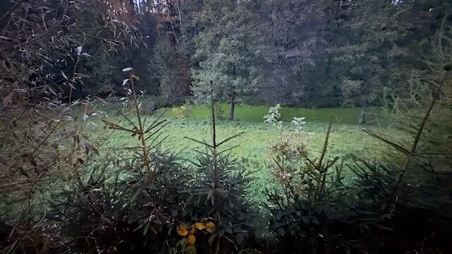 Prodej pole, Levínská Olešnice, 8891 m2