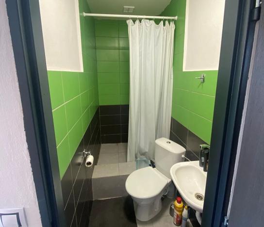 Pronájem výrobních prostor, Cheb, Kamenická, 200 m2