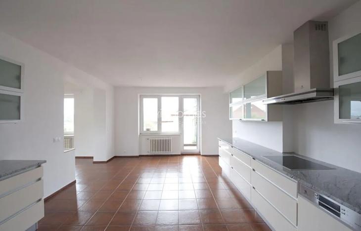 Pronájem bytu 6+kk a větší, Praha - Braník, Psohlavců, 290 m2