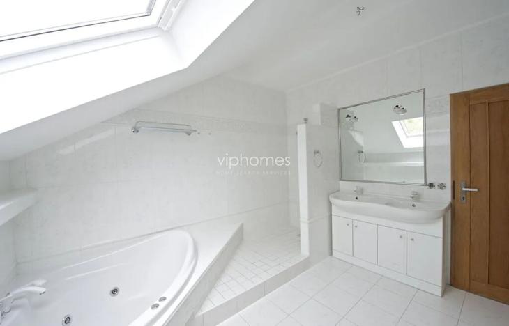 Pronájem bytu 6+kk a větší, Praha - Braník, Psohlavců, 290 m2