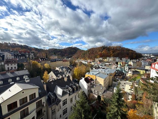 Prodej bytu 2+1, Karlovy Vary, Petřín, 60 m2