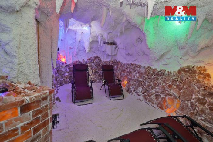 Prodej obchodního prostoru, Ledeč nad Sázavou, Mlýnská, 450 m2