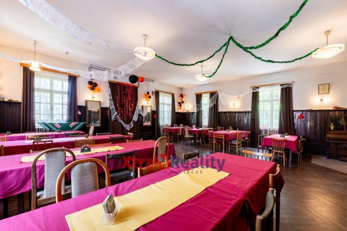 Prodej restaurace, Mařenice - Dolní Světlá, 424 m2
